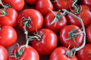 Azərbaycan şirkəti Ukraynanın supermarketlər şəbəkəsinə pomidor satacaq