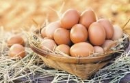 Azərbaycan Gürcüstandan yumurta idxalını artırıb